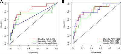 Comprehensive Analyses of Mutation-Derived Long-Chain Noncoding RNA Signatures of Genome Instability in Kidney Renal Papillary Cell Carcinoma